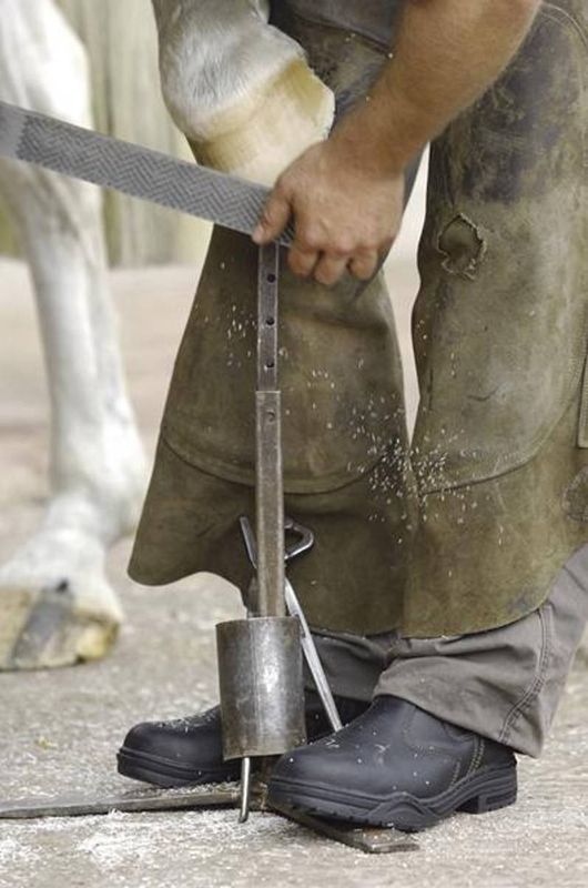 Mountain Horse Protective Jodphur 
