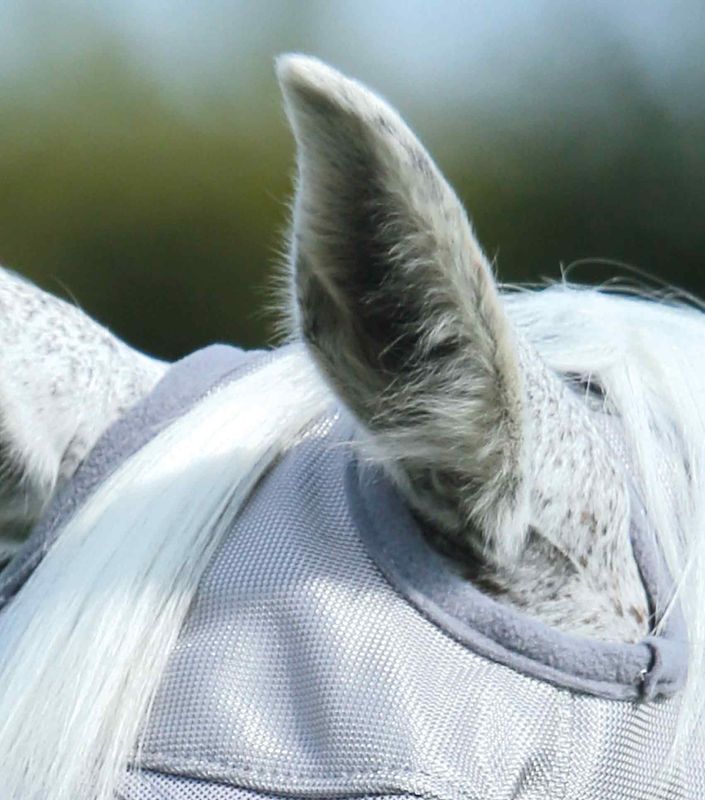 Premier Equiene Fluemaske