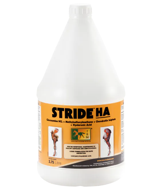 Hovedbilde Stride HA