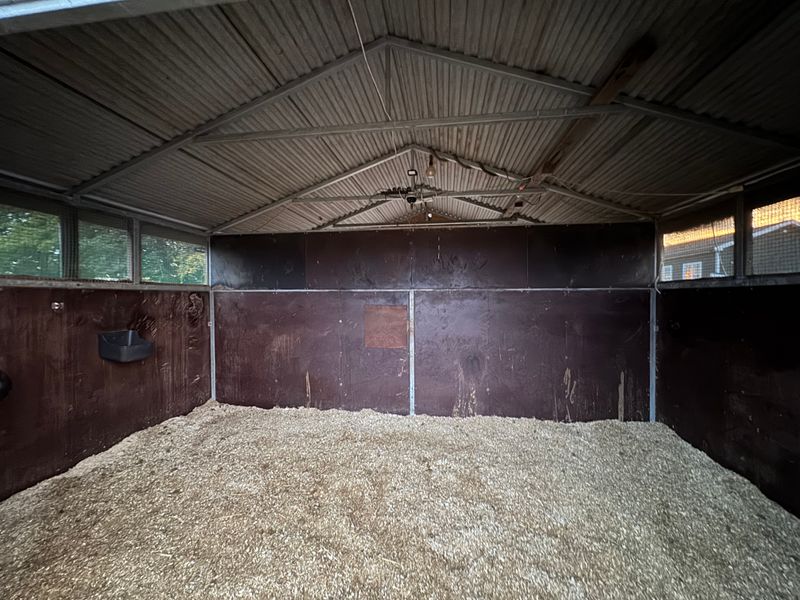 Leskur, liggehall, løsdrift til hest (Contryhus)