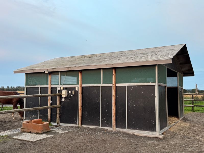 Leskur, liggehall, løsdrift til hest (Contryhus)