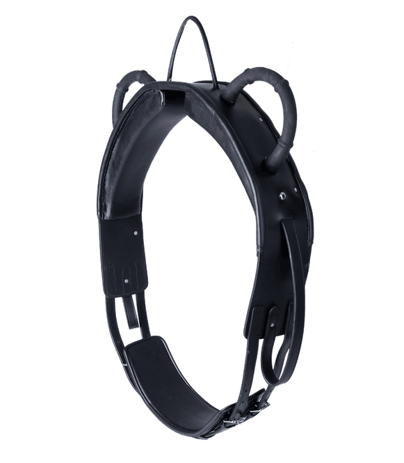 Hovedbilde Waldhausen longerings gjord 