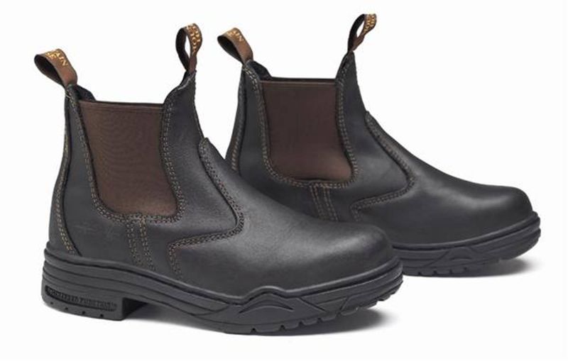 Mountain Horse Protective Jodphur 