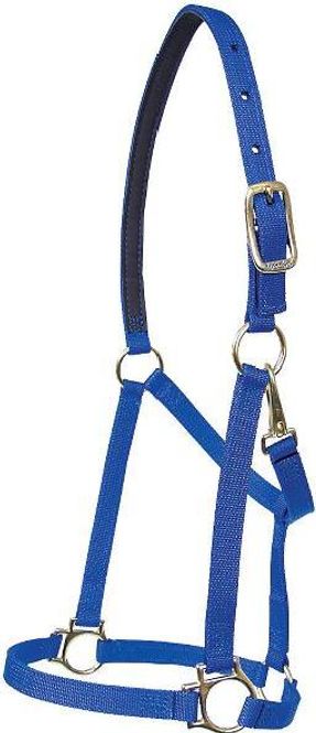Hovedbilde Walsh Victory Halter