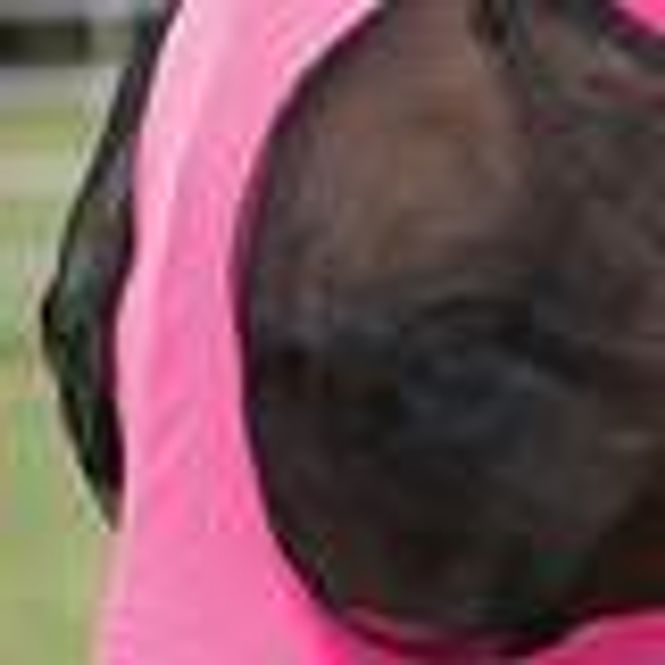 Hovedbilde Lami-cell Flue Maske Lycra